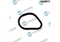 Gasket, thermostat housing