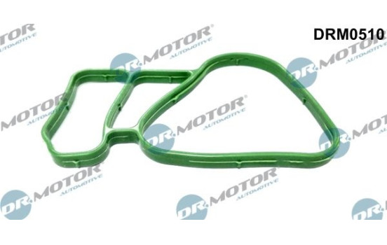 Gasket, thermostat housing