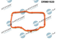 Gasket, thermostat housing