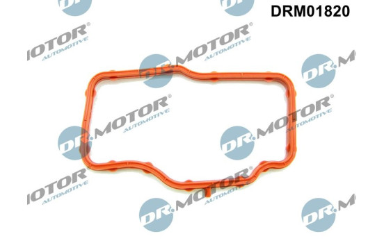 Gasket, thermostat housing