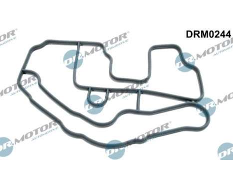Gasket, thermostat housing
