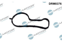 Gasket, thermostat housing