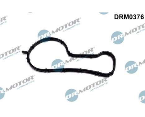 Gasket, thermostat housing