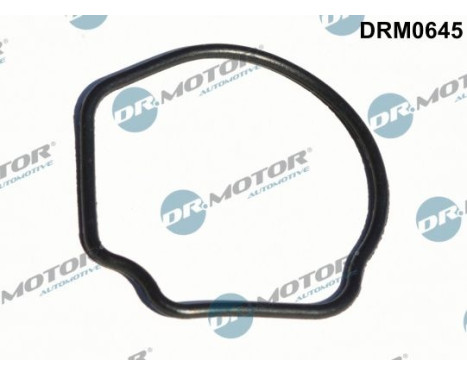 Gasket, thermostat housing