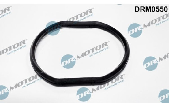 Gasket, thermostat housing