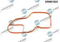 Gasket, thermostat housing