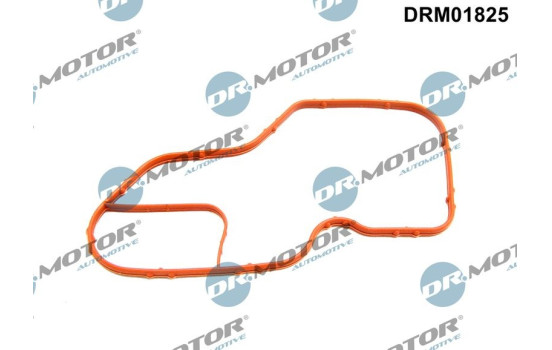 Gasket, thermostat housing