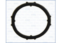 Gasket, thermostat housing