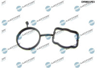 Gasket, thermostat housing