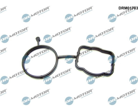 Gasket, thermostat housing