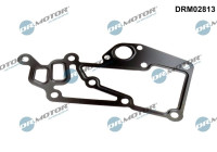 Gasket, thermostat housing