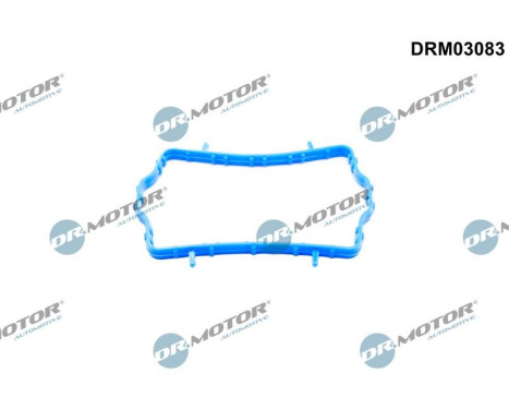 Gasket, thermostat housing