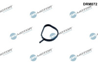 Gasket, thermostat housing