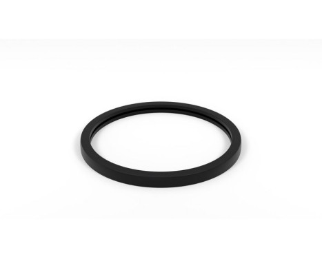 Gasket, thermostat housing
