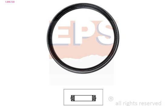 Gasket, thermostat Made in Italy - OE Equivalent