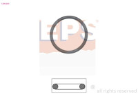 Gasket, thermostat Made in Italy - OE Equivalent