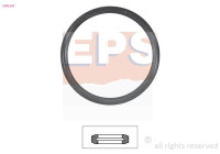 Gasket, thermostat Made in Italy - OE Equivalent