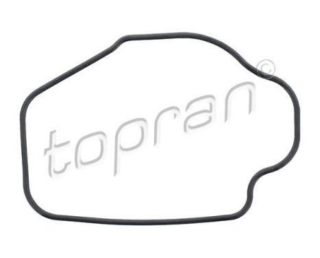 Gasket, thermostat