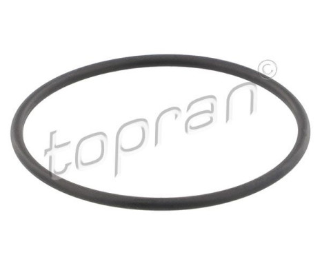 Gasket, thermostat