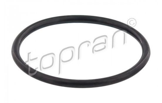 Gasket, thermostat