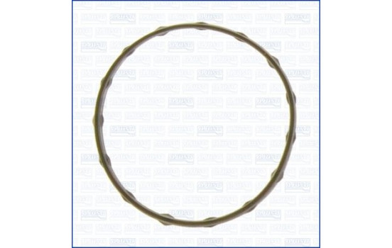Gasket, thermostat