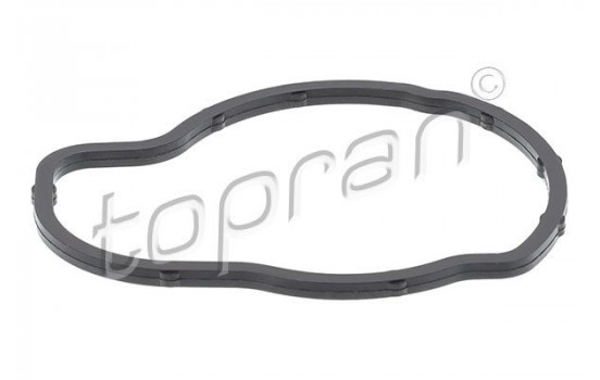 Gasket, thermostat