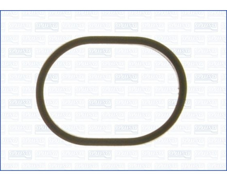 Gasket, thermostat