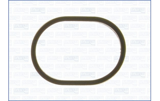 Gasket, thermostat
