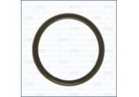 Gasket, thermostat