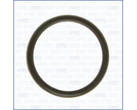 Gasket, thermostat