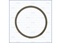 Gasket, thermostat