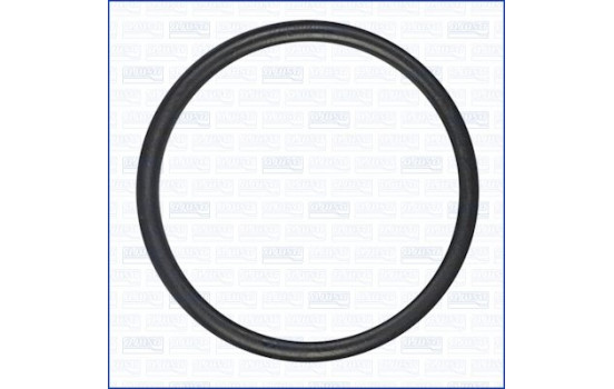 Gasket, thermostat