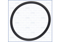Gasket, thermostat