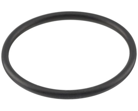 Gasket, thermostat