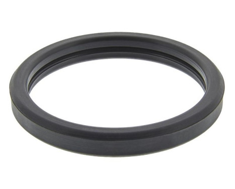 Gasket, thermostat