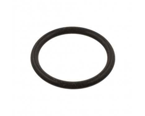 Seal Ring 39732 FEBI