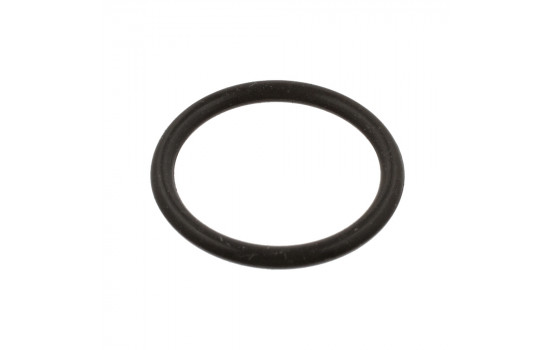 Seal Ring 39732 FEBI