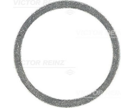 Sealing ring