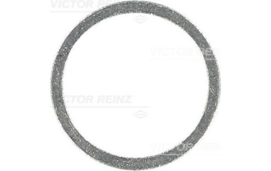 Sealing ring