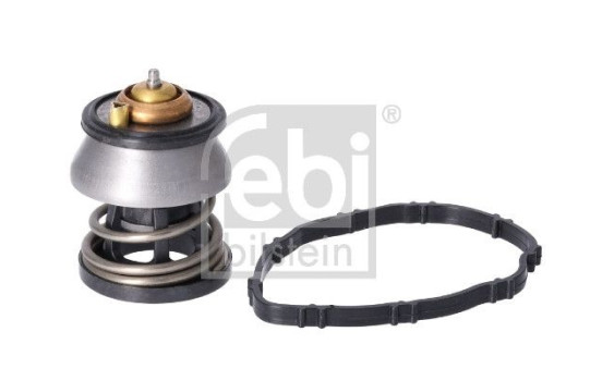 thermostat 179798 FEBI