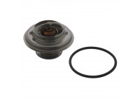 Thermostat, coolant 01598 FEBI