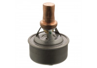 Thermostat, coolant 09336 FEBI