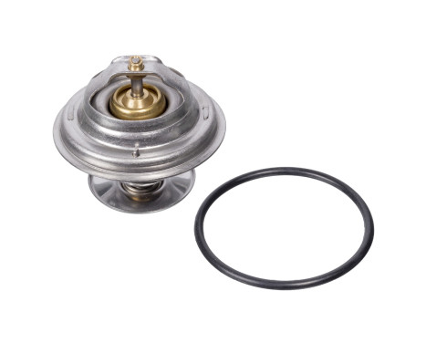 Thermostat, coolant 09671 FEBI