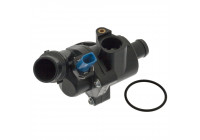 Thermostat, coolant 100313 FEBI