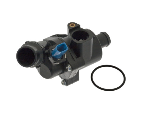 Thermostat, coolant 100313 FEBI