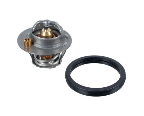 Thermostat, coolant 105992 FEBI