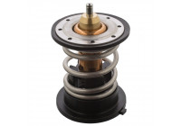 Thermostat, coolant 105993 FEBI