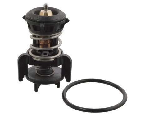 Thermostat, coolant 106524 FEBI