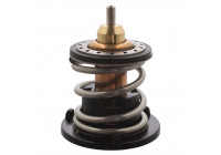Thermostat, coolant 109338 FEBI