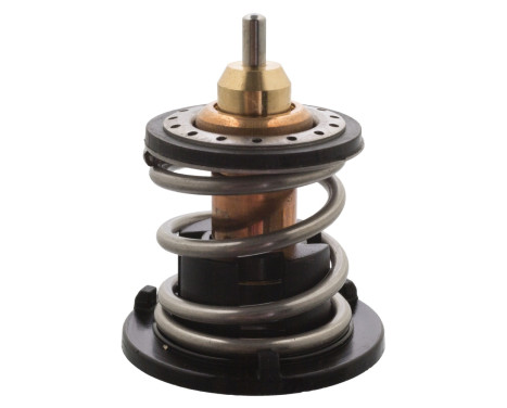 Thermostat, coolant 109338 FEBI